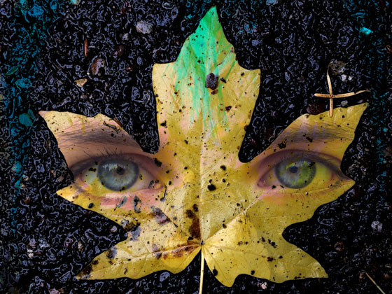 Double Exposure iPhone Portraits 14