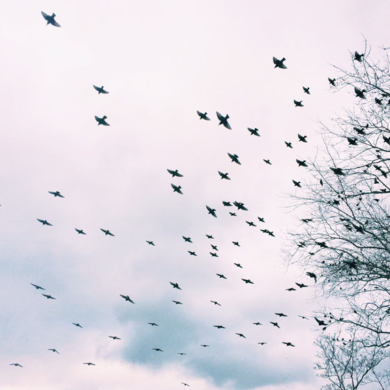 Processed with VSCOcam with c1 preset