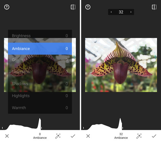 Snapseed App Update 10