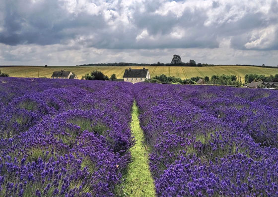 30 Stunning iPhone Photos Of Nature