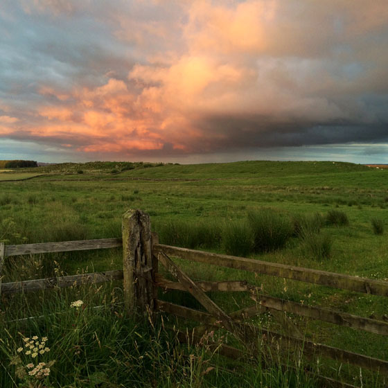 10 iPhone Camera Settings Every Photographer Should Use