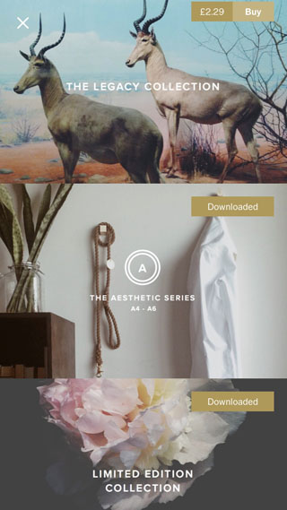 How To Use VSCO Filters To Create Beautiful iPhone Photos