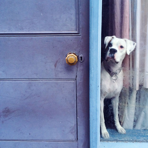 7 Tips For Using Framing In Your iPhone Photo Composition