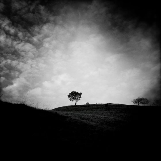 How To Use The Tool To Create Dramatic iPhone Photos