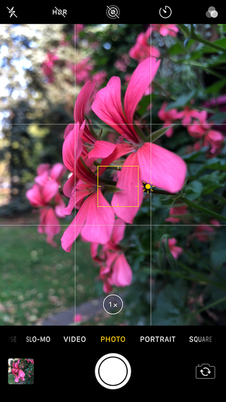 iPhone 8 Plus Camera: Ultimate Guide To Stunning iPhone Photography