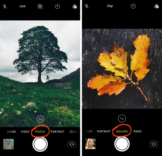 iPhone Camera App The Ultimate Guide To Incredible iPhone Photos
