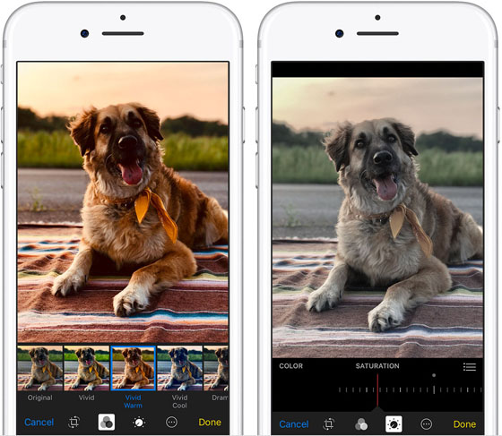 Best Camera App For iPhone: Compare The 4 Best Camera Apps