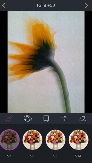 How To Create A Unique Flower Portrait iPhone Photo