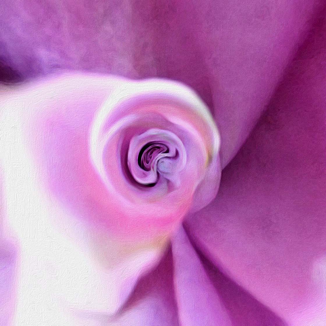 30 Beautiful Photos Of Flowers Taken With The iPhone