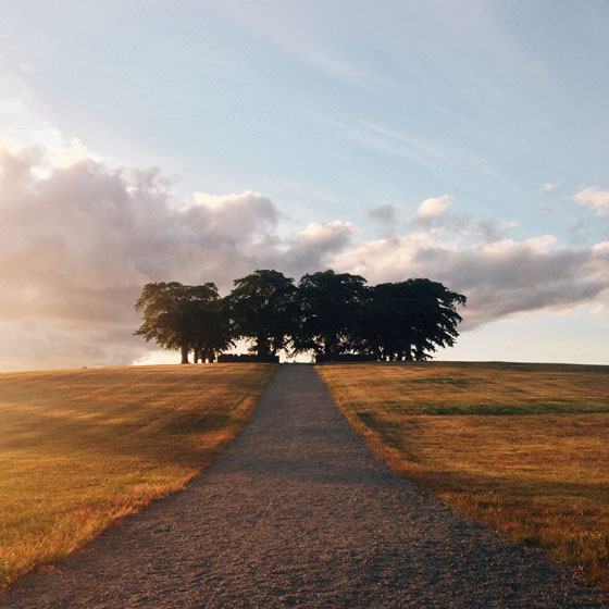 Image result for leading lines