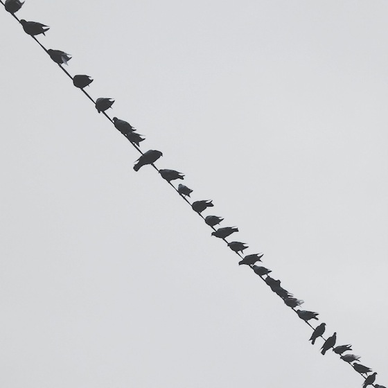 Minimalism Pihone Photography 18