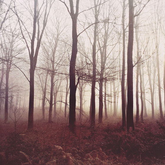 11 Ways To Create Moody iPhone Landscape Photos 