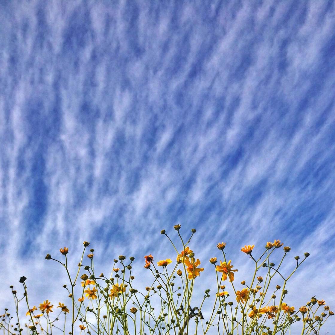 The 100 Best iPhone Photos Of 2015