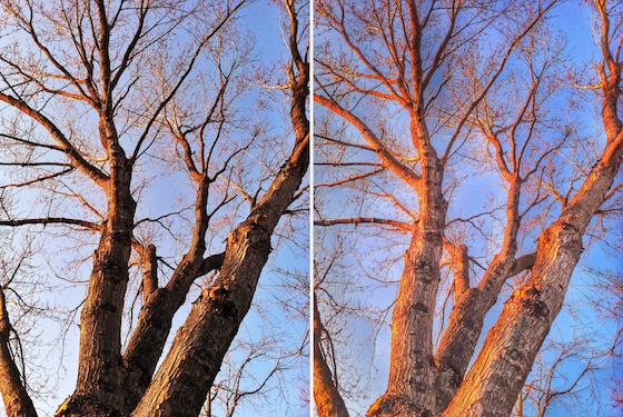 apple snapseed photo editing