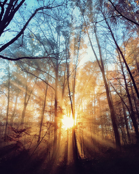 10 Ways To Capture More Dramatic Light In Your iPhone Photos