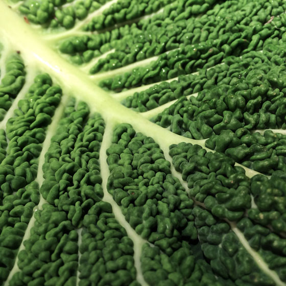 6 ways to bring your iphone photos to life with texture texture photography